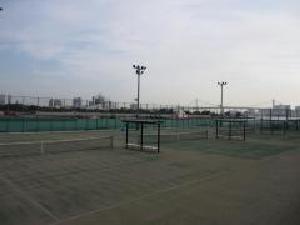 豊海テニス場（昼間）の写真