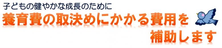 子どもの健やかな成長のために養育費の取り決めにかかる費用を補助します