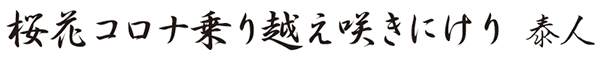 俳句「桜花コロナ乗り越え咲きにけり　泰人」