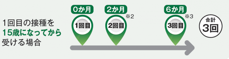 シルガード9_3回