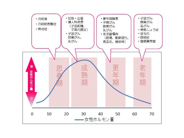 女性のライフステージの画像