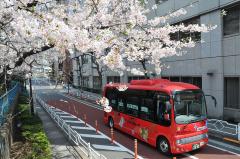 コミュニティバス（江戸バス）の写真