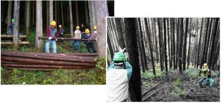 森林保全活動の写真