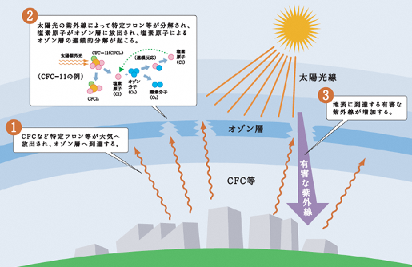 特定フロン等によるオゾン層破壊への影響　イメージ図