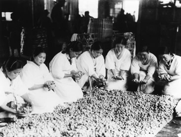 繭の生産　提供：昭和館　画像